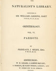 1836 Undulated Nanodes Hand-Colored Steel Engraving Jardine Lizars - Parrots