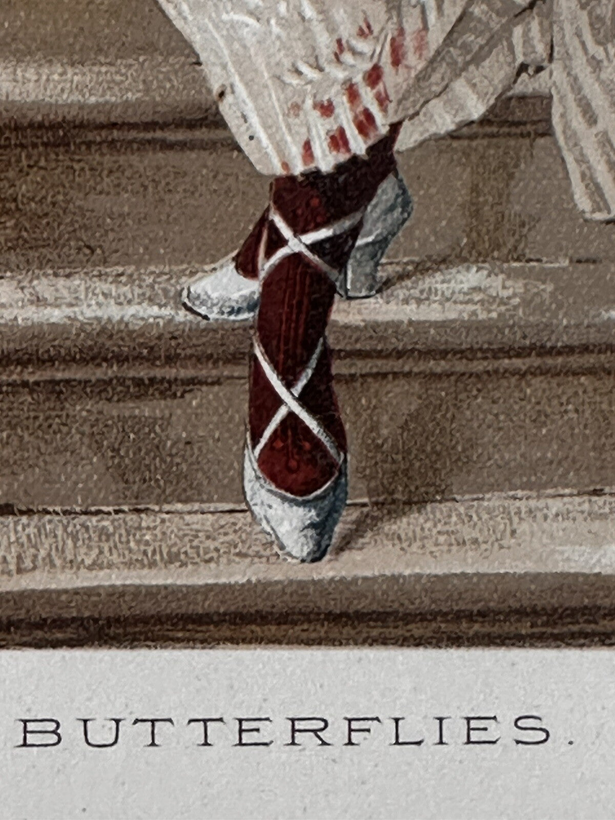 1889 "Butterflies" Chromolithograph Print | Magazine Illustration