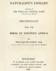 1837 Senegal Touraco / Violet Plantain Eater HC Frontispiece Jardine Lizars V7-2
