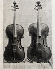 1893 Violas Belonging To V.B. Fletchter, New York Antique Wood Engraving