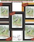 a group of four framed pictures of birds