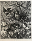 1893 Desolation Antique Magazine Wood Engraving, Bird Watcher