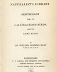 1834 Red Grouse Hand-Colored Frontispiece Jardine Lizars Ornithilogy Vol. IV