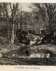 1893 A Summer Idyl, Ellerslie Antique Magazine Wood Engraving