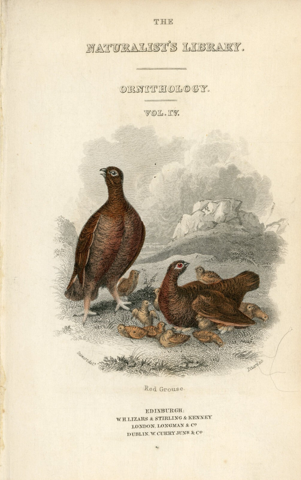 1834 Red Grouse Hand-Colored Frontispiece Jardine Lizars Ornithilogy Vol. IV