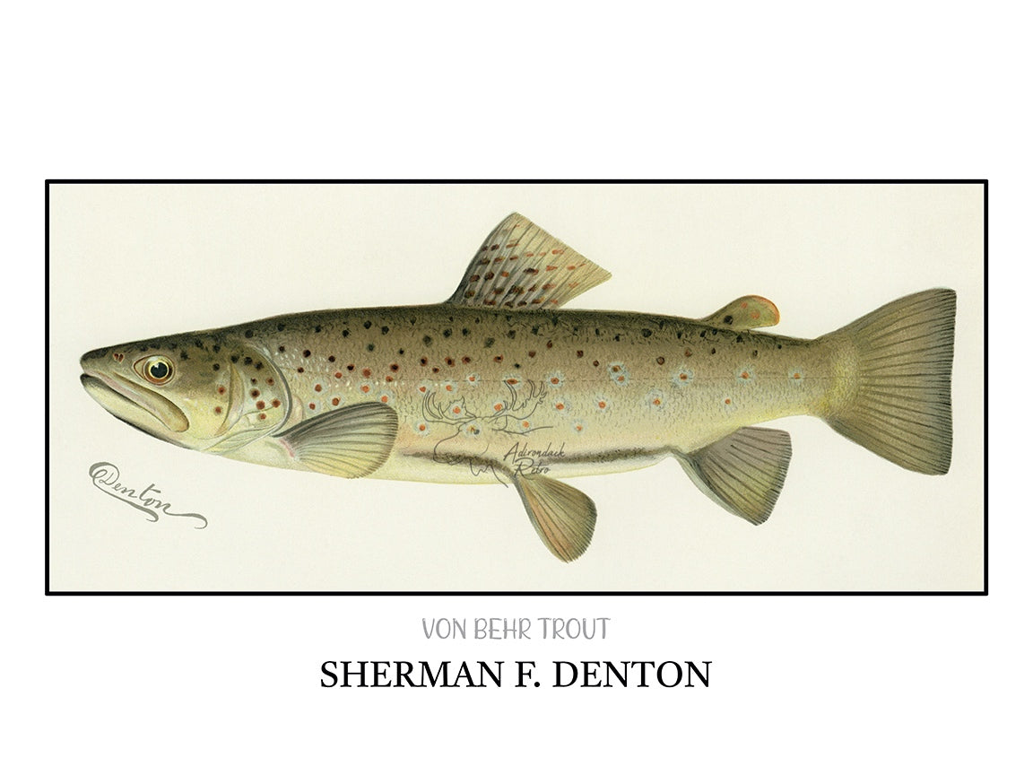 a drawing of a brown fish with spots on it's body