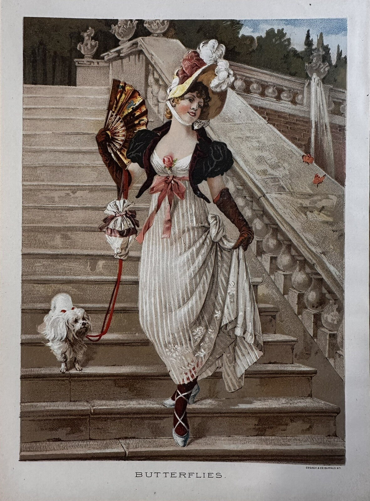 1889 "Butterflies" Chromolithograph Print | Magazine Illustration