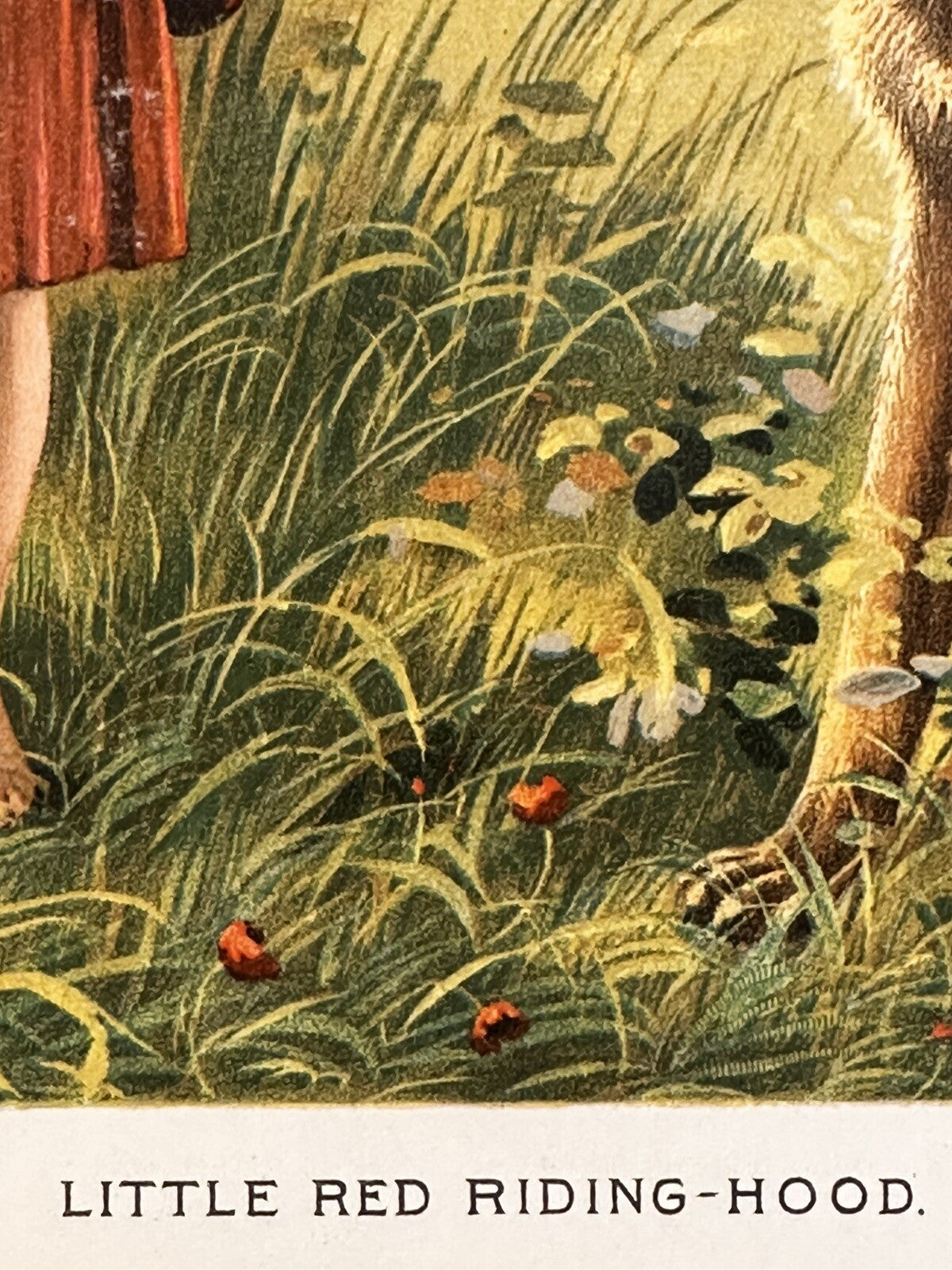 1890 "Little Red Riding|Hood" Chromolithograph Print | Magazine Illustration