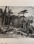1893 Valdoniello Antique Antique Magazine Wood Engraving