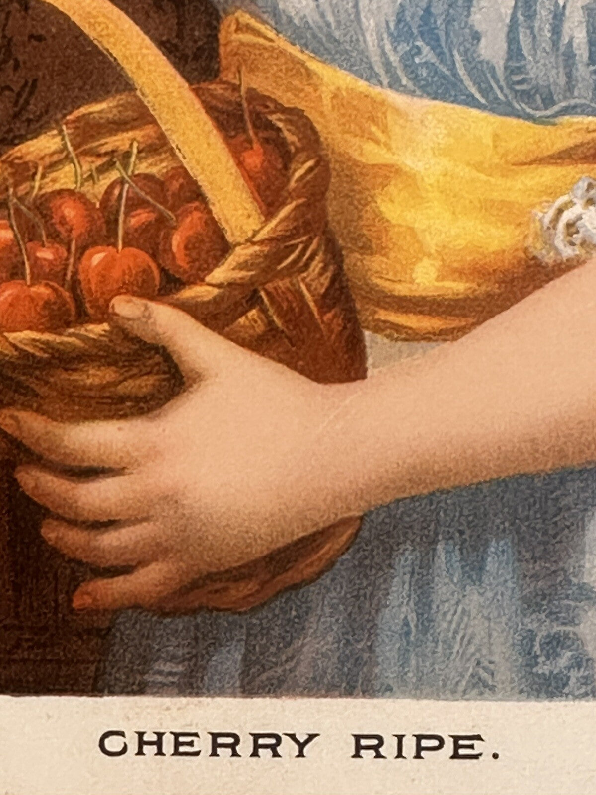 1892 "Cherry Ripe" Chromolithograph Print | Magazine Illustration