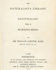 1833 Harlequin Hummingbird Hand-Colored Steel Engraving Jardine Lizars