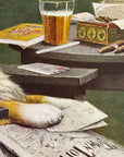 C.M. Coolidge DOG OF A BACHELOR Saint Bernard Dog Lazy Boy Cigar Beer Newspaper