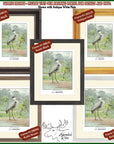 The image is a collage of five framed artworks depicting different types of birds, including a great blue heron. The artworks are arranged in a grid format, with each frame showcasing a different bird species and color. The frames are labeled with the artist's name, J. L. Riedewy, and the type of frame, such as rustic black, rustic brown, and rustic white. The collage also includes a caption that reads "SAMPLE FRAMES - PLEASE VISIT OUR FRAMING POSTAL FOR DETAILS AND INFO."
