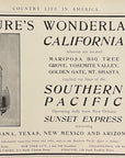 1904 Southern Pacific Railroad Print Ad Marisopa Big Tree Grove California