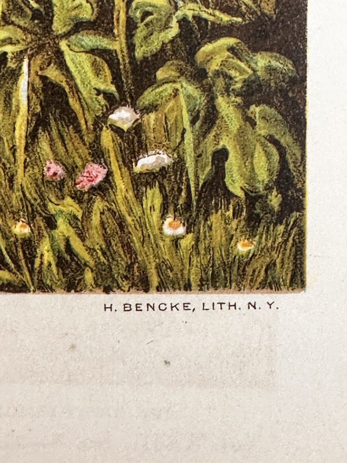 1886 "Happy Days" Chromolithograph Print | Magazine Illustration