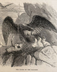 1893 The Eyrie Of The Eaglets Antique Magazine Wood Engraving