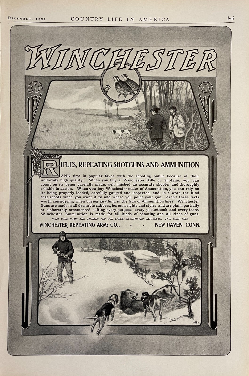1902 Winchester Print Ad Rifle Shotguns Ammo Bear Upland Birds Hunters New Haven