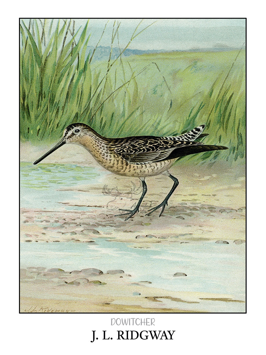 a painting of a bird standing in the water
