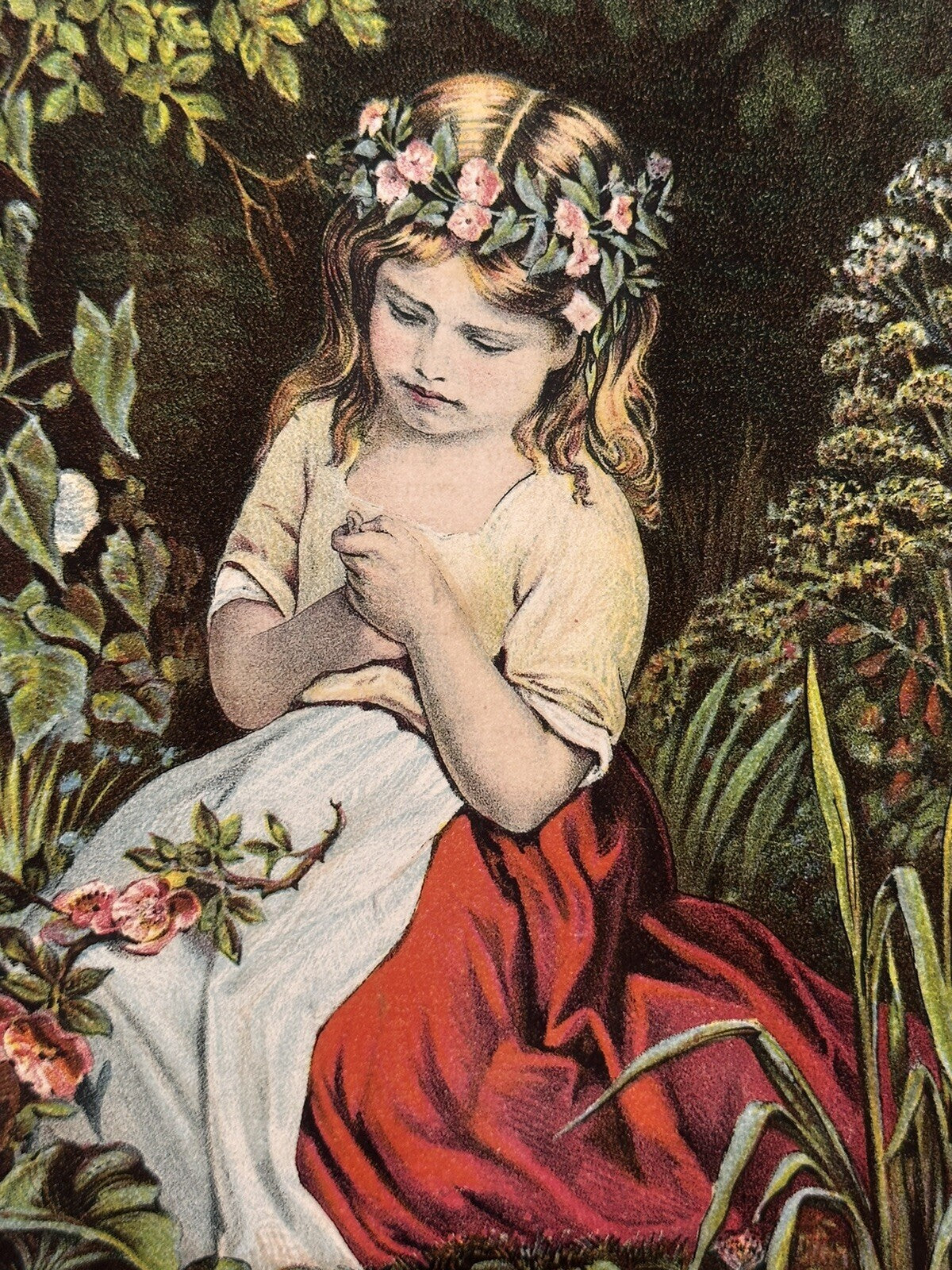 1881 "No Rose Without A Thorn" Chromolithograph Print | Magazine Illustration