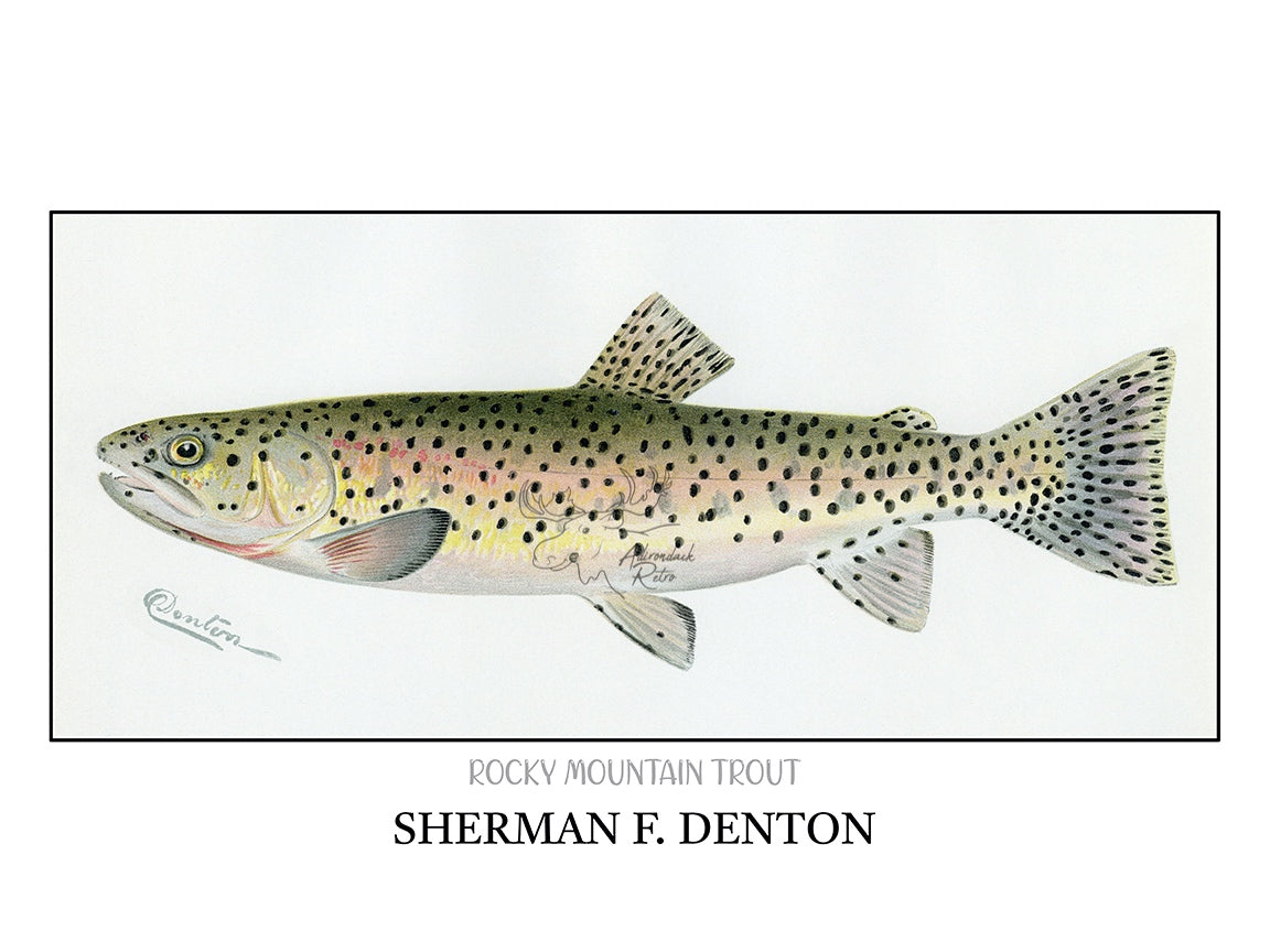 a drawing of a fish with dots on it