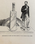 1892 Proportional Of Water And Solid Matter In Humans Antique Wood Engraving