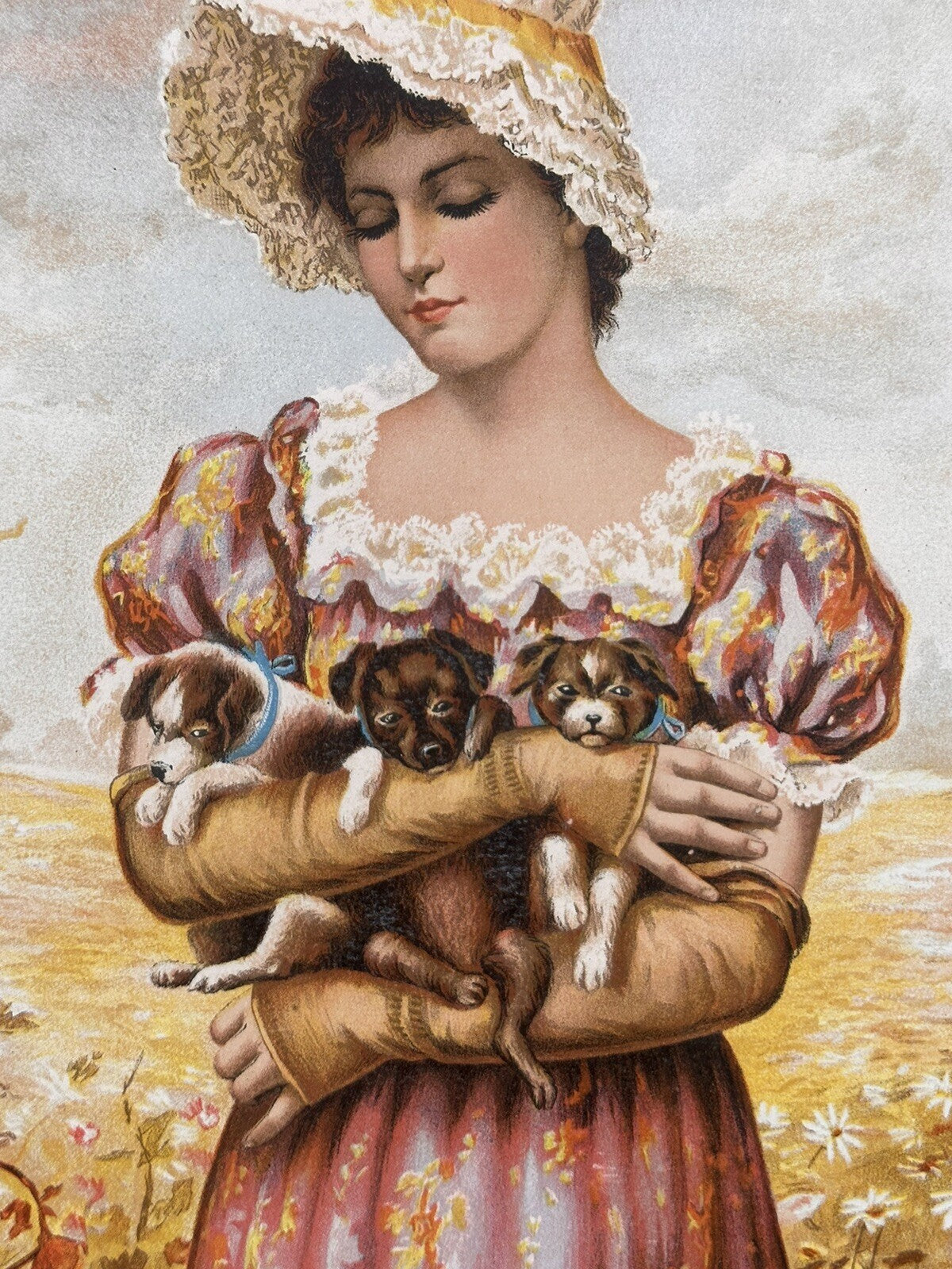 1892 "Beauties" Chromolithograph Print | Magazine Illustration