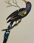 1789 Red-Billed Hoopoe Shaw & Nodder Hand Colored Copperplate Engraving