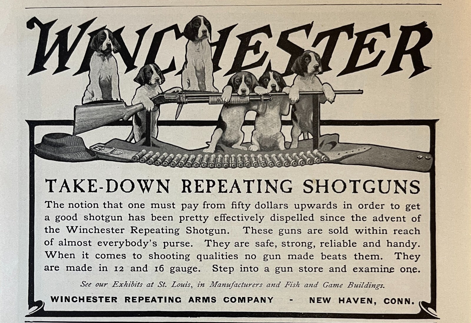 1904 Winchester Repeating Arms Co. Print Ad Hunting Dogs Shotgun New Haven CT