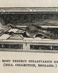 1893 The Most Perfect Stradivarius Known Antique Magazine Wood Engraving