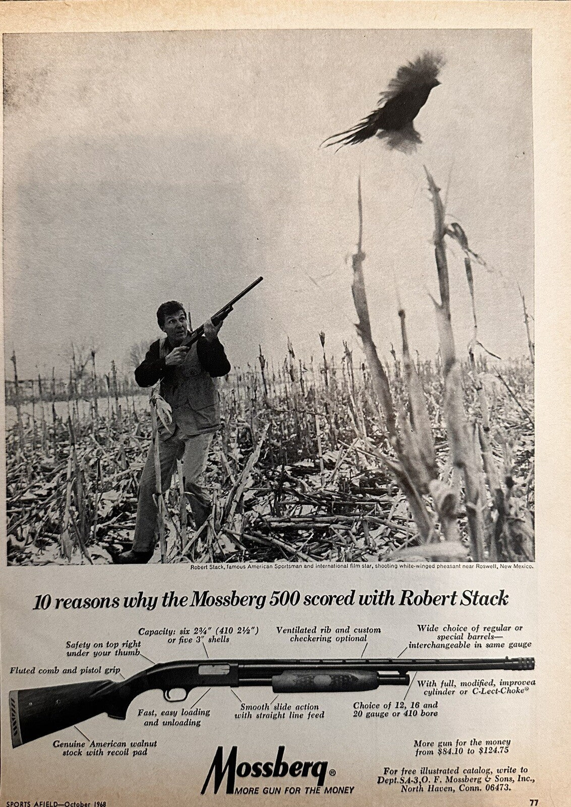 Mossberg 500 Gun Advertisement (Approx. 8X11) - Bird Hunting Print
