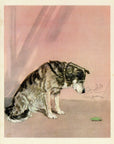 1932 Diana Thorne Vintage Dog Print - Husky - Plate 