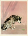 1932 Diana Thorne Vintage Dog Print - Husky - Plate