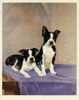 1932 Diana Thorne Vintage Dog Print - Boston Bulldog - Plate