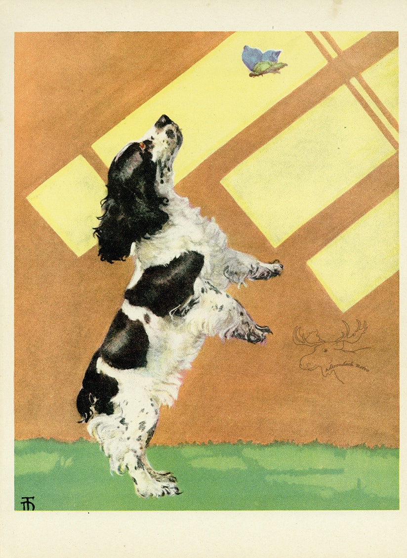 1932 Diana Thorne Vintage Dog Print - Cocker Spaniel - Plate #3 at Adirondack Retro
