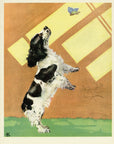1932 Diana Thorne Vintage Dog Print - Cocker Spaniel - Plate