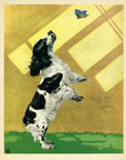 1932 Diana Thorne Vintage Dog Print - Cocker Spaniel - Plate