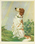 1932 Diana Thorne Vintage Dog Print - Setter - Plate