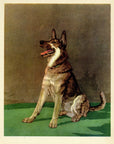 1932 Diana Thorne Vintage Dog Print - German Shepard - Plate