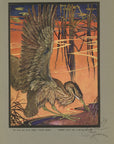The Bittern And The Mussel Limited Edition Tipped-In Color Book Plate - Paul Bransom Antique Print at Adirondack Retro