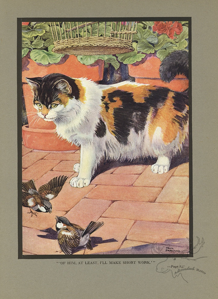 The Cat And The Sparrows Limited Edition Tipped-In Color Book Plate - Paul Bransom Antique Print at Adirondack Retro