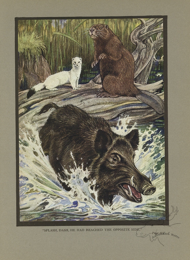 The Three Companions Limited Edition Tipped-In Color Book Plate - Paul Bransom Antique Print at Adirondack Retro