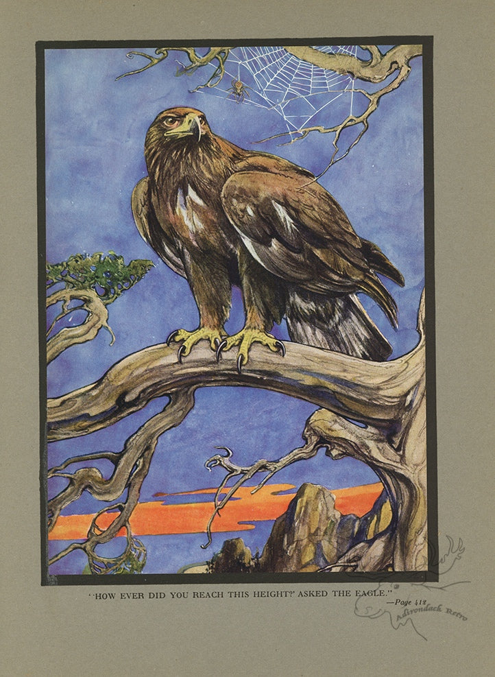 The Eagle And The Spider Limited Edition Tipped-In Color Book Plate - Paul Bransom Antique Print at Adirondack Retro