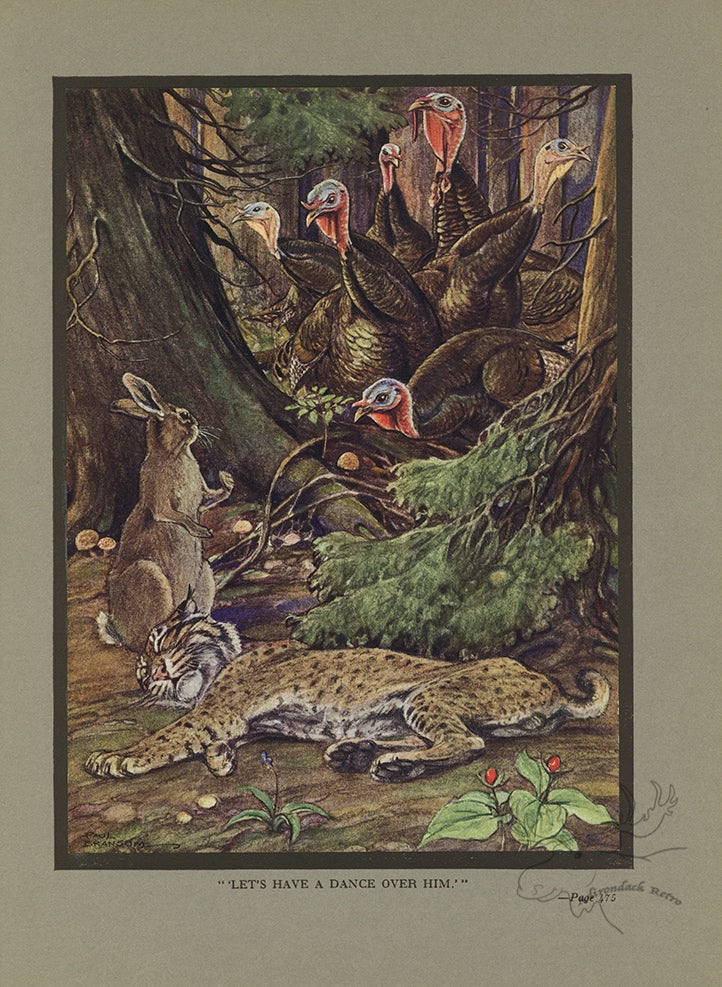The Wildcat And The Rabbit Limited Edition Tipped-In Color Book Plate - Paul Bransom Antique Print at Adirondack Retro