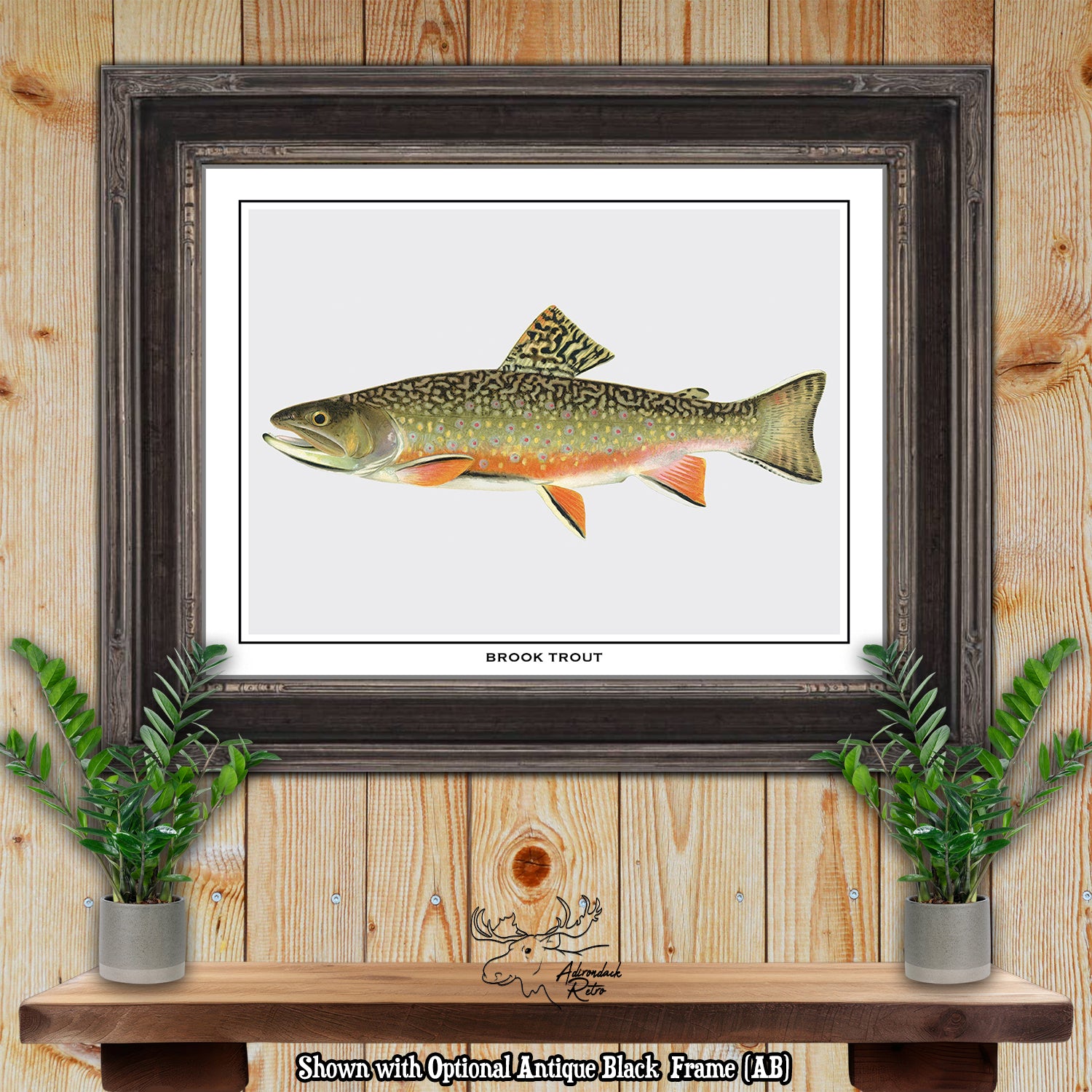 Sherman F. Denton Brook Trout Giclee Fine Art Print at Adirondack Retro