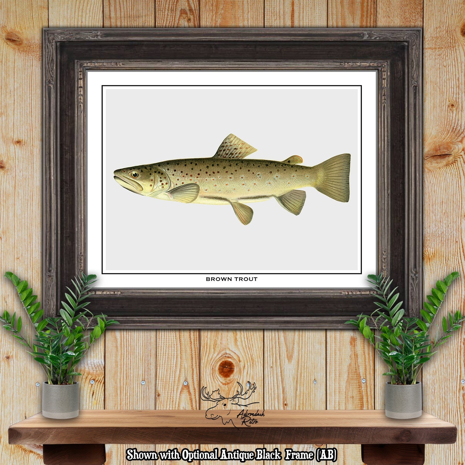 Sherman F. Denton Brown Trout Giclee Fine Art Print at Adirondack Retro