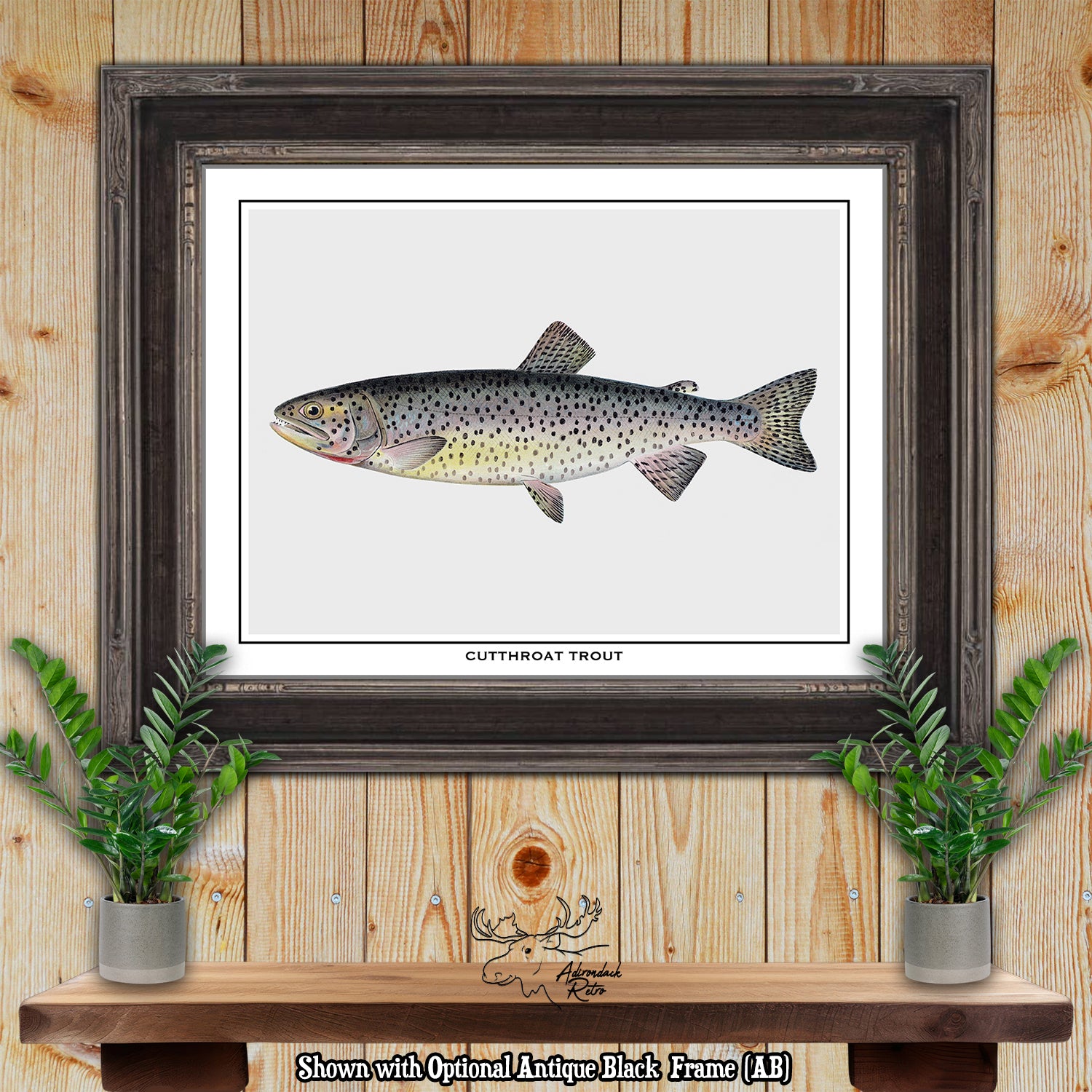 Sherman F. Denton Cutthroat Trout Giclee Fine Art Print at Adirondack Retro