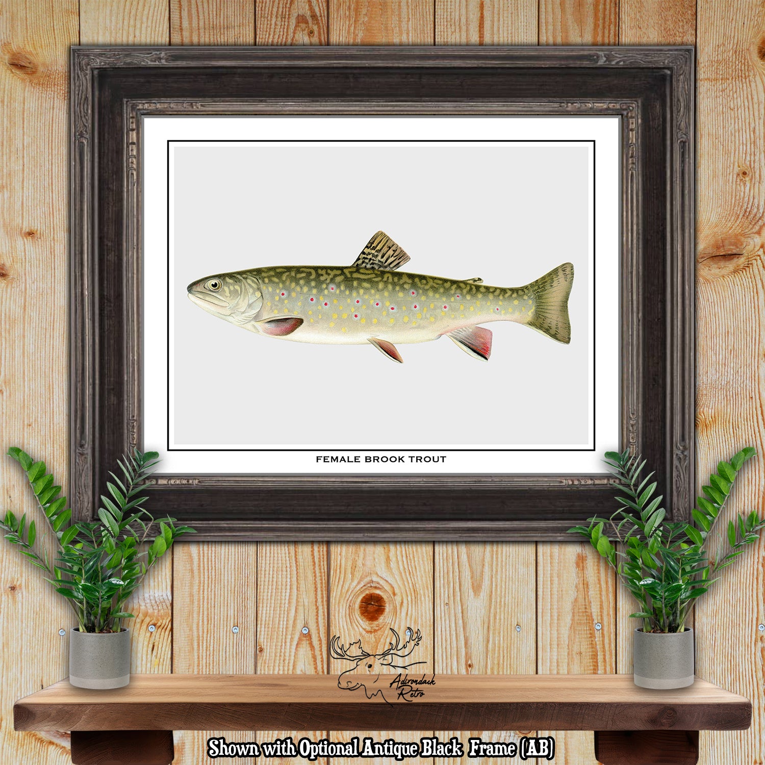 Sherman F. Denton Female Brook Trout Giclee Fine Art Print at Adirondack Retro