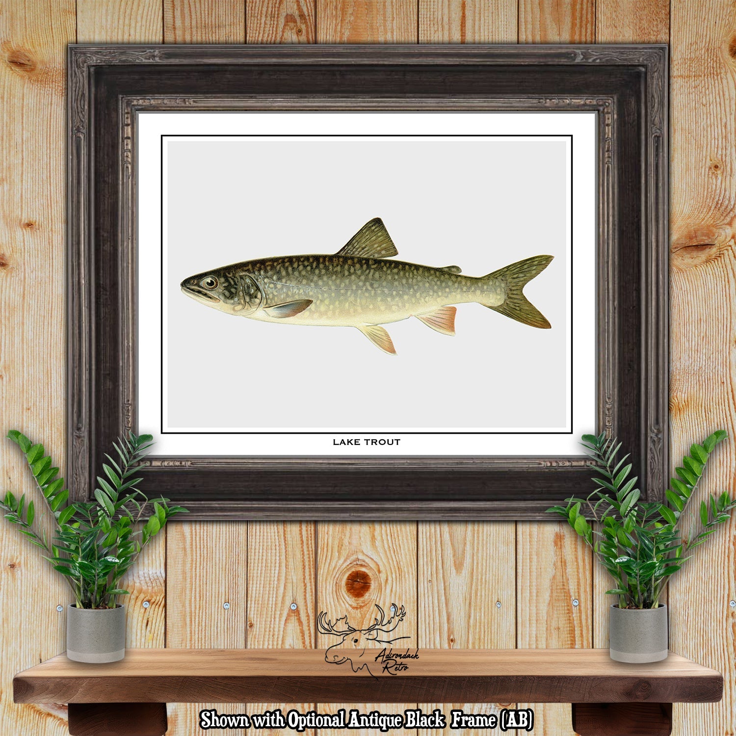 Sherman F. Denton Lake Trout Giclee Fine Art Print