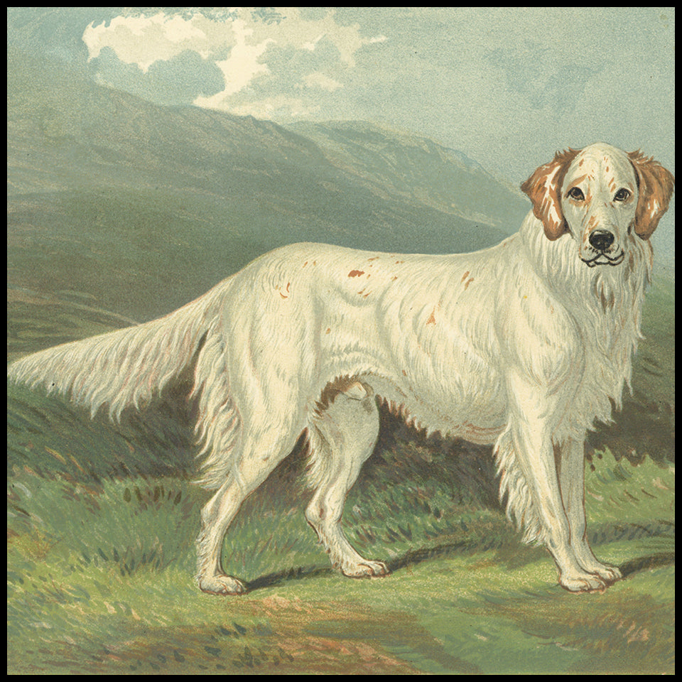 Antique Dog Prints at Adirondack Retro