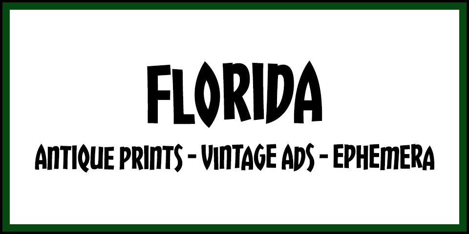 Vintage Florida Advertisements, Antique Prints and Ephemera at Adirondack Retro